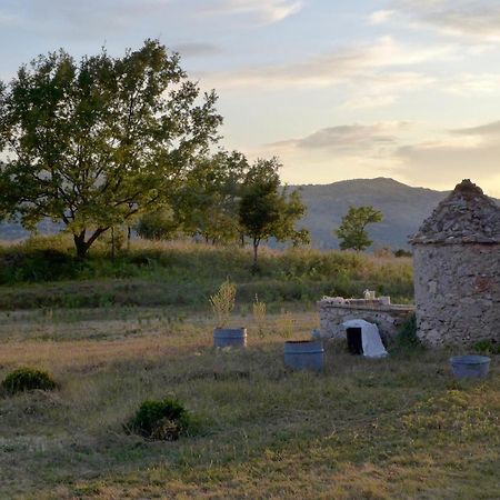 Maison Marthe - Maison Nomade Chic Coursegoules Dış mekan fotoğraf