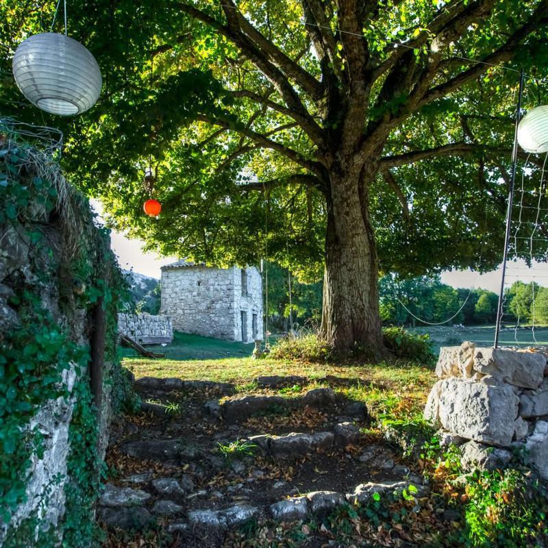 Maison Marthe - Maison Nomade Chic Coursegoules Dış mekan fotoğraf